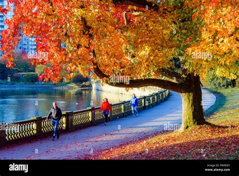 Stanley Park Seawall Vancouver British Columbia Canada Stock Photo