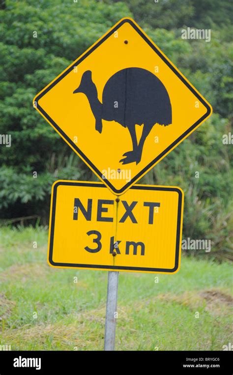 A Cassowary Road Sign In The Tablelands Near Cairns Queensland