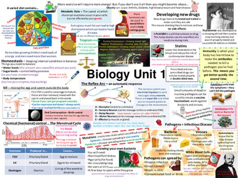 B1 Aqa Biology Revision Posters New Spec By Vemann86 Teaching