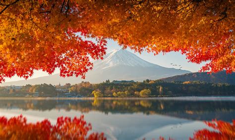 Mount Fuji In Background During Autumn Sunrise Oddlysatisfying