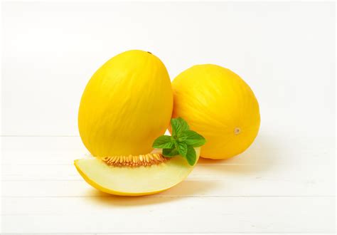 Como plantar melão amarelo cultivo tipos benefícios e mais