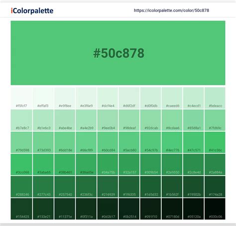 Emerald Reflection Color 50c878 Information Hsl Rgb Pantone