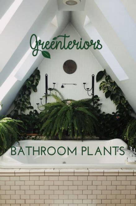 Plants Bathroom No Light 35 Super Ideas