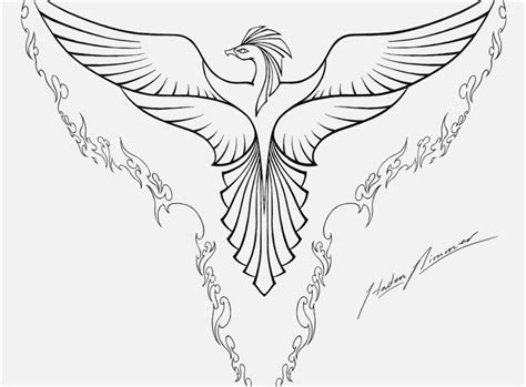 Phoenix Bird Coloring Pages At Getdrawings Free Download