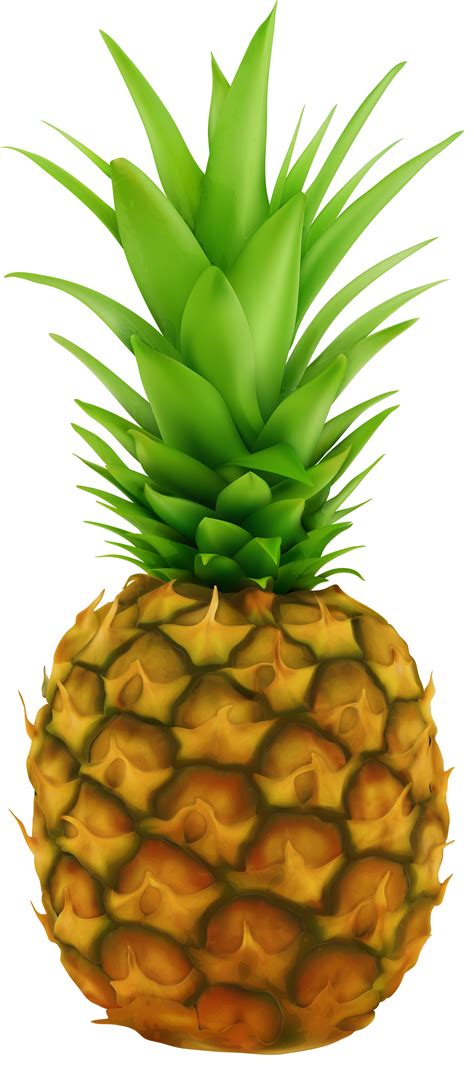 Pineapple Transparent Clip Art Image Gallery Yopriceville High