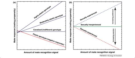 the impact of learning on sexual selection and speciation trends in ecology and evolution