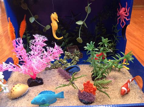 Coral Reef Diorama Ocean Projects Animal Projects Science Projects