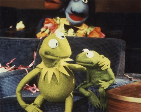 Approximately What It Looked Like Kermit The Frog The Muppet Show