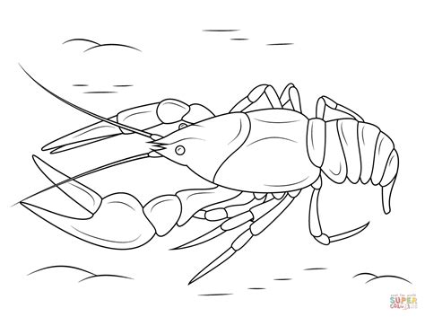 An extensive selection of drawings to print and color so you can make free coloring books for your kids! Danube Crayfish coloring page | Free Printable Coloring Pages