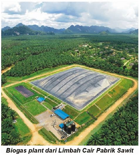 Inovasi Biomasa Penghematan Pupuk Di Perkebunan Sawit Dengan Biochar Dan Kompos Dari Limbah Biogas