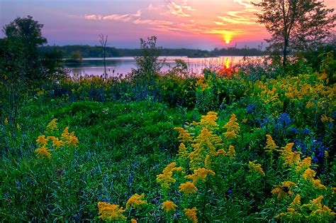 Wild Flowers Summit Lake September Photograph By Randall Branham Pixels