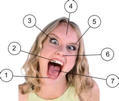Pattern recognition is an integral part of the human brain. Zoom English: ESO1: Games with vocabulary (family and body)