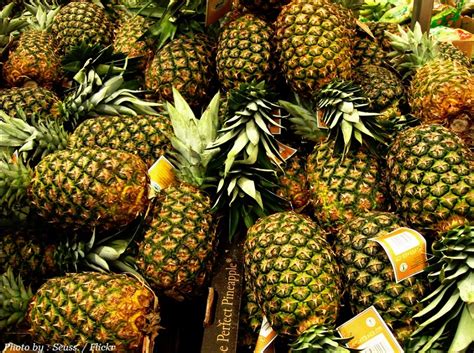 Interesting Facts About Pineapples Just Fun Facts