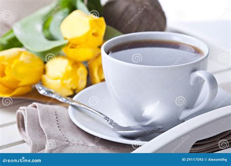 Morning Coffee Cup Stock Photos Image 29117593