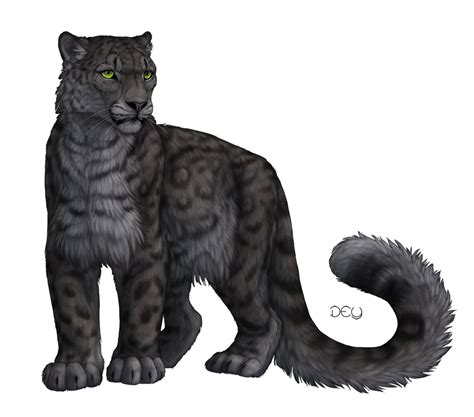 Snow Leopard By Deyvarah On Deviantart Big Cats Art Snow Leopard Art