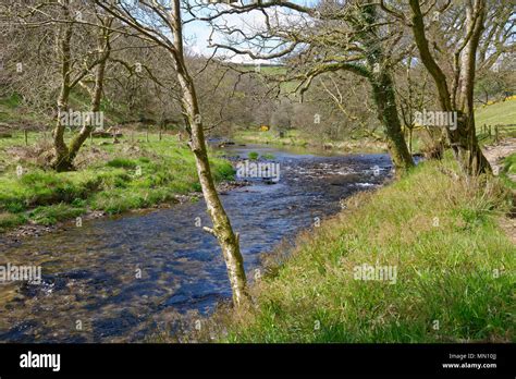 River Barle Between Withypool And Tar Steps Exmoor Somerset Stock Photo