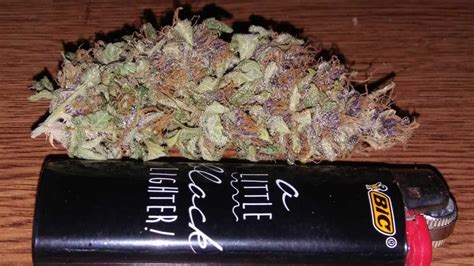 How To Grow Pink Or Purple Cannabis Buds Grow Weed Easy