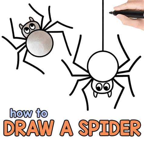 How To Draw A Spider Step By Step Drawing Tutorial Ôn Thi Hsg