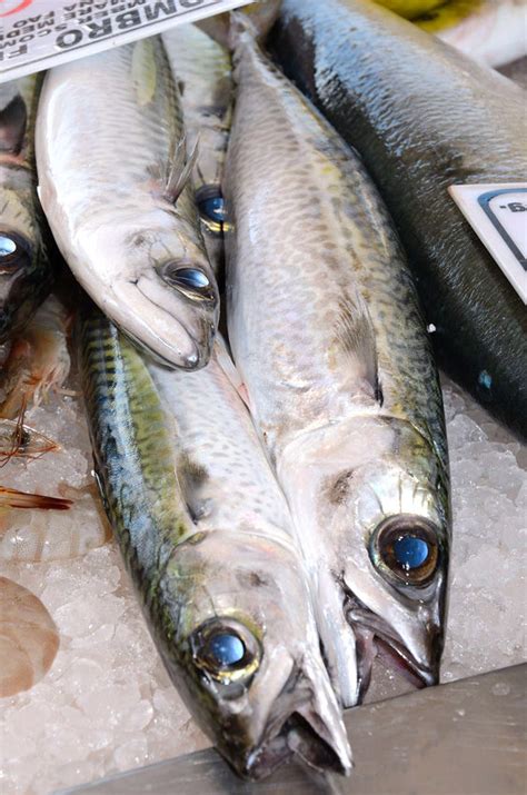 Simple Science: How to Make a Volcano with Kids