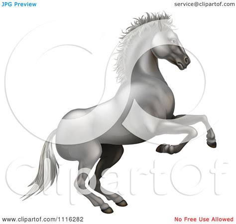Clipart 3d Silvery White Horse Rearing Royalty Free Vector