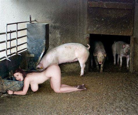 Pig Fucked Girls Naked Outdoors