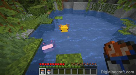 How To Breed Axolotls In Minecraft