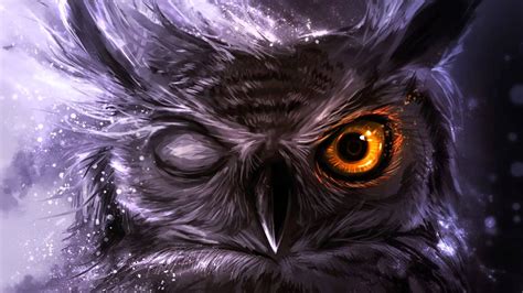 Art Owl Wallpapers Top Những Hình Ảnh Đẹp