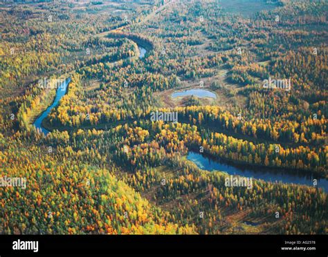 The Western Siberian Rivers Marshes And Taiga Taken From A Helicopter