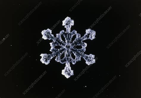 Macrophoto Of Snow Crystals Hexagonal Symmetry Stock Image E127