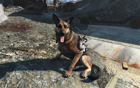 Fallout 4 Dogmeat Video Games Wallpapers Hd Desktop And Mobile
