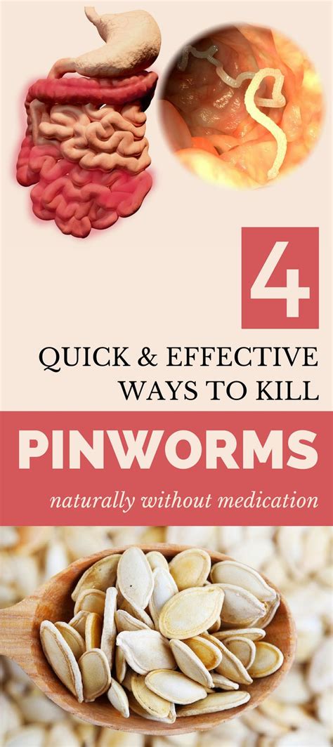 4 Quick And Effective Ways To Kill Pinworms Naturally Without Medication