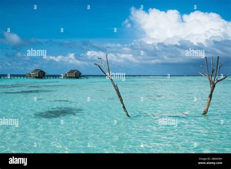 Beach Of Turquoise Waters In Maldives Stock Photo Alamy