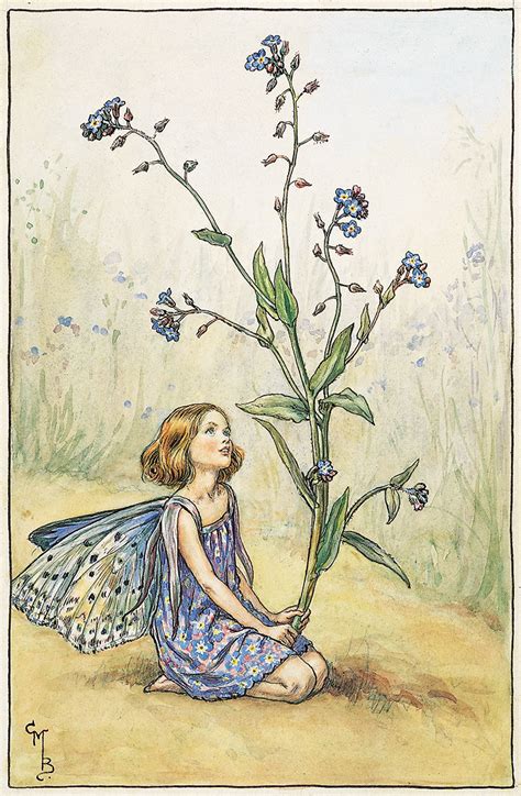 The Forget Me Not Fairy Flower Fairies Cicely Mary Barker Art And
