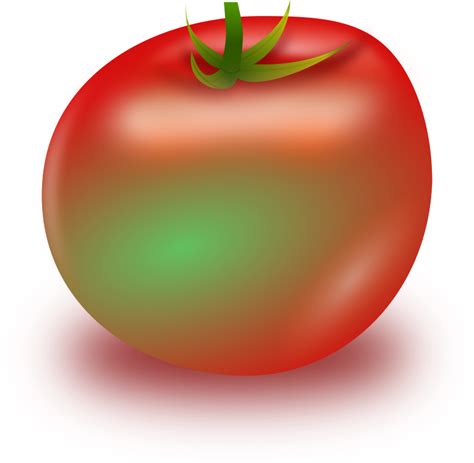 Unripe Tomato Openclipart