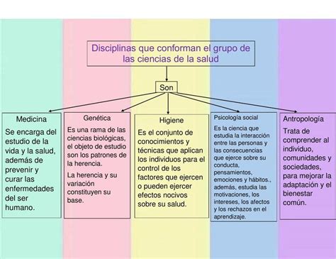 Mapa Conceptual Disciplinas Que Conforman En Grupo De Las Ciencias De
