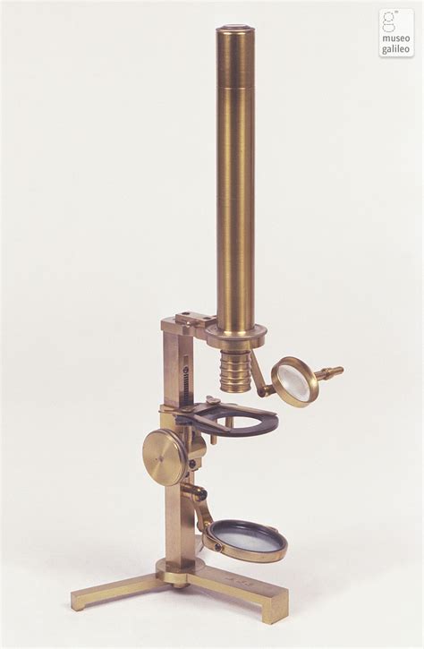 Officine Galileo Compound Microscope