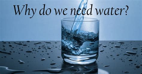 Why The Body Needs Water Dr Sears Wellness Institute