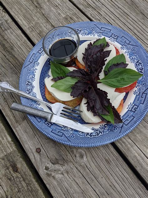 Caprese Salad – Edible Adventures in my World