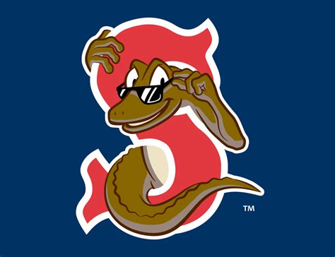 Florida cup es una serie de partidos de fútbol amistosos, organizados para simular un torneo. Sarasota Red Sox Cap Logo - Florida State League (FSL ...