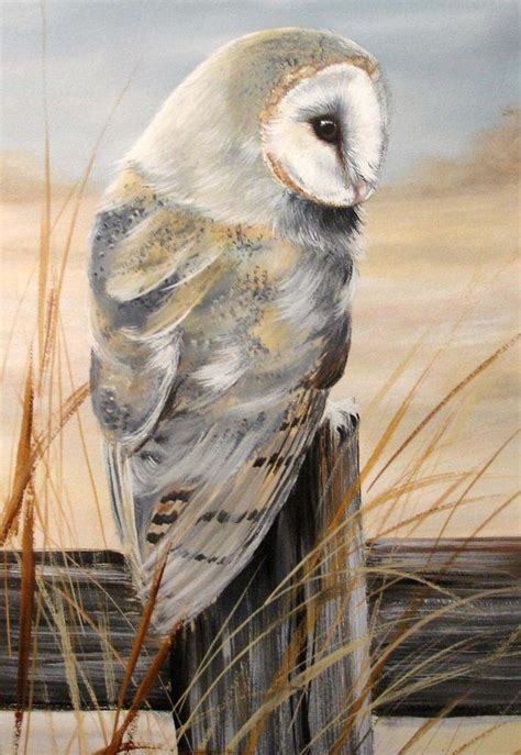 Owl Fine Art Print By British Wildlife Artist Helen Clark Signed And