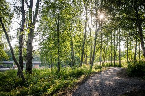 Kuhmo Chamber Music Festival Sweet Notes In A Warm Finnish Summer