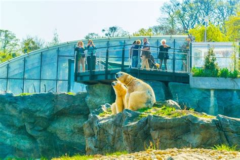 50 Best Zoos In The World 2021 Tourscanner