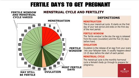 Fertile Days To Get Pregnant How Many Days After Ovulation Can You Get Pregnant Youtube