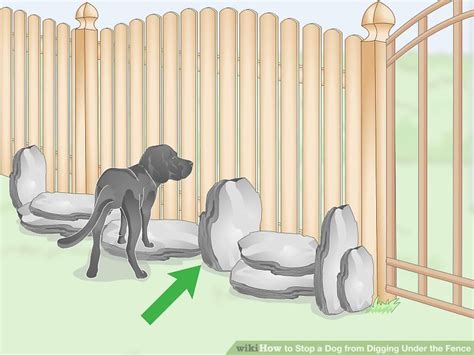 How To Stop A Dog From Digging Under The Fence 8 Steps