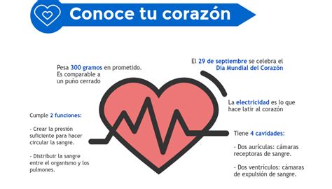 Qué Hacer Para Cuidar La Salud De Tu Corazón Blog De Masquemedicos