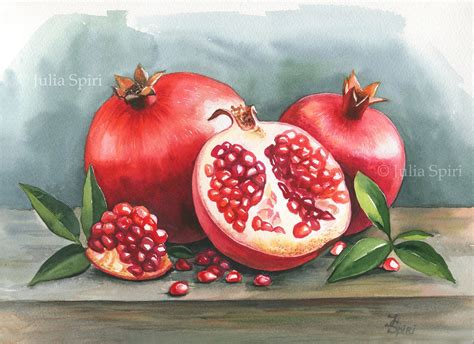 HOW TO PAINT POMEGRANATES IN WATERCOLOR Pomegranate Drawing