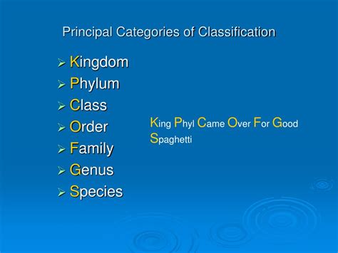 Ppt Classification Powerpoint Presentation Free Download Id4590880