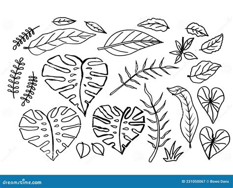Conjunto De Plantas Tropicales Dibujadas A Mano En Doodle Conjunto De