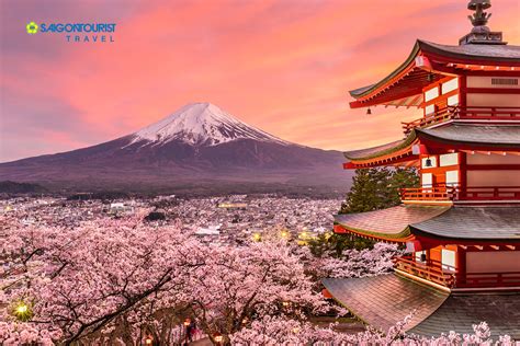 Saigontourist Du Lịch Nhật Bản Mùa Hoa Anh đào Tokyo Núi Phú Sỹ