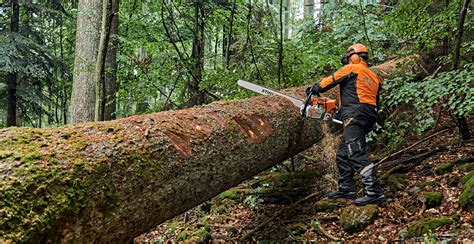 Introducing The New Ms 881 Magnum Chainsaw Stihl Blog